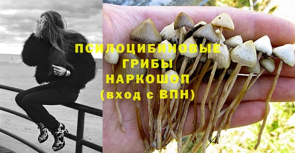 гидра Алексеевка