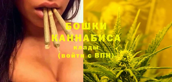 гидра Алексеевка
