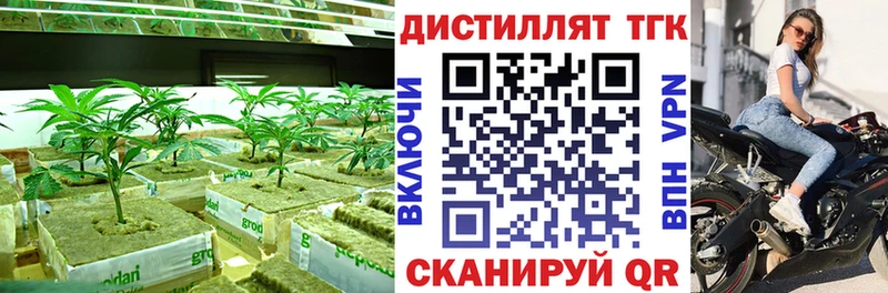ТГК концентрат Муром